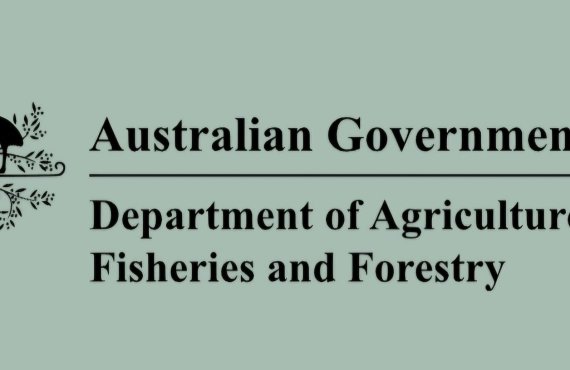 BMSB Uygulaması Avusturya Yeni Zelanda Kapsamlı